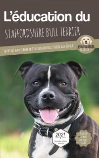 L'éducation du Staffordshire Bull Terrier